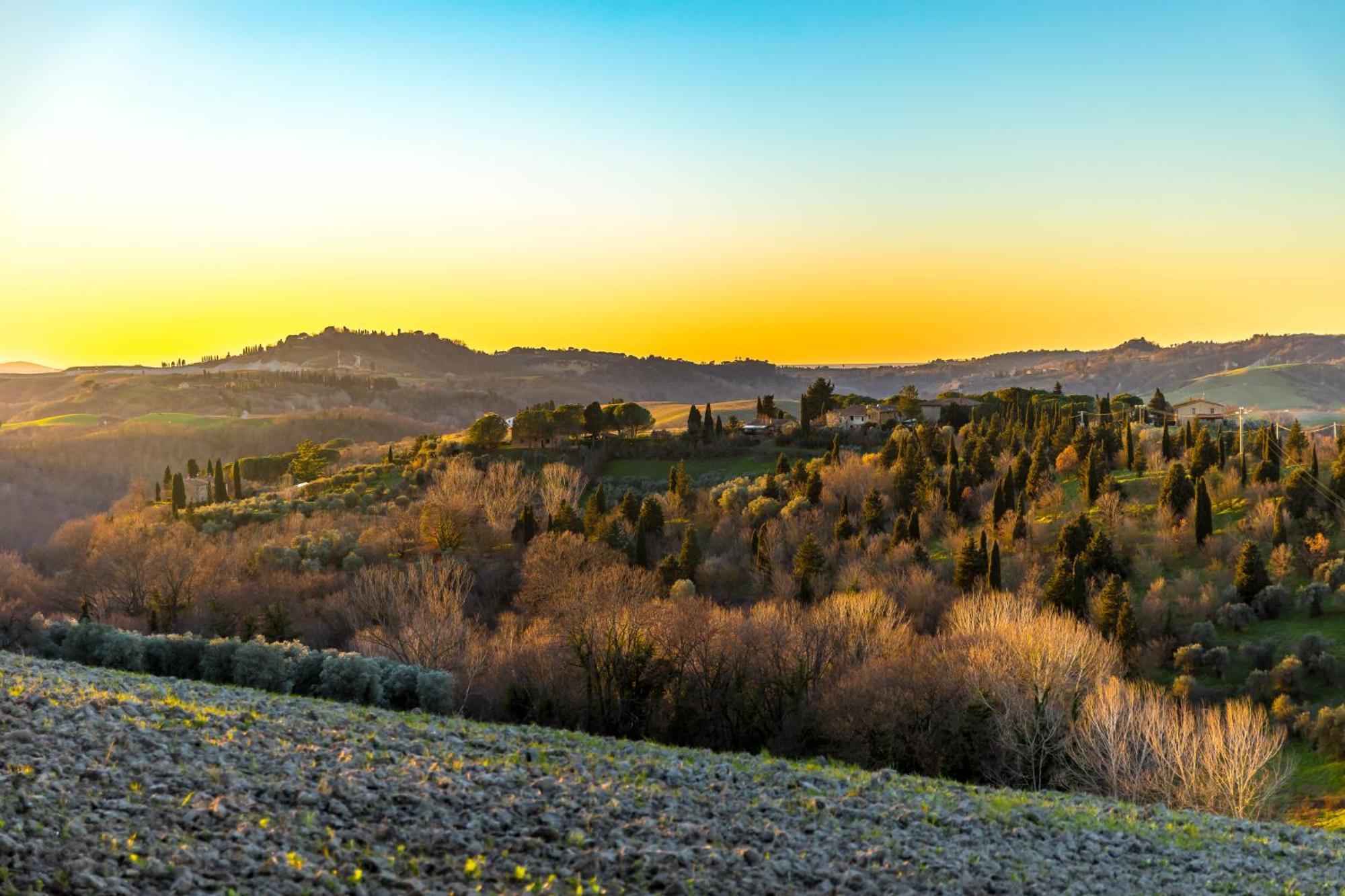 Borgo Il Poggio Agritourismo Villa Montaione Exteriör bild
