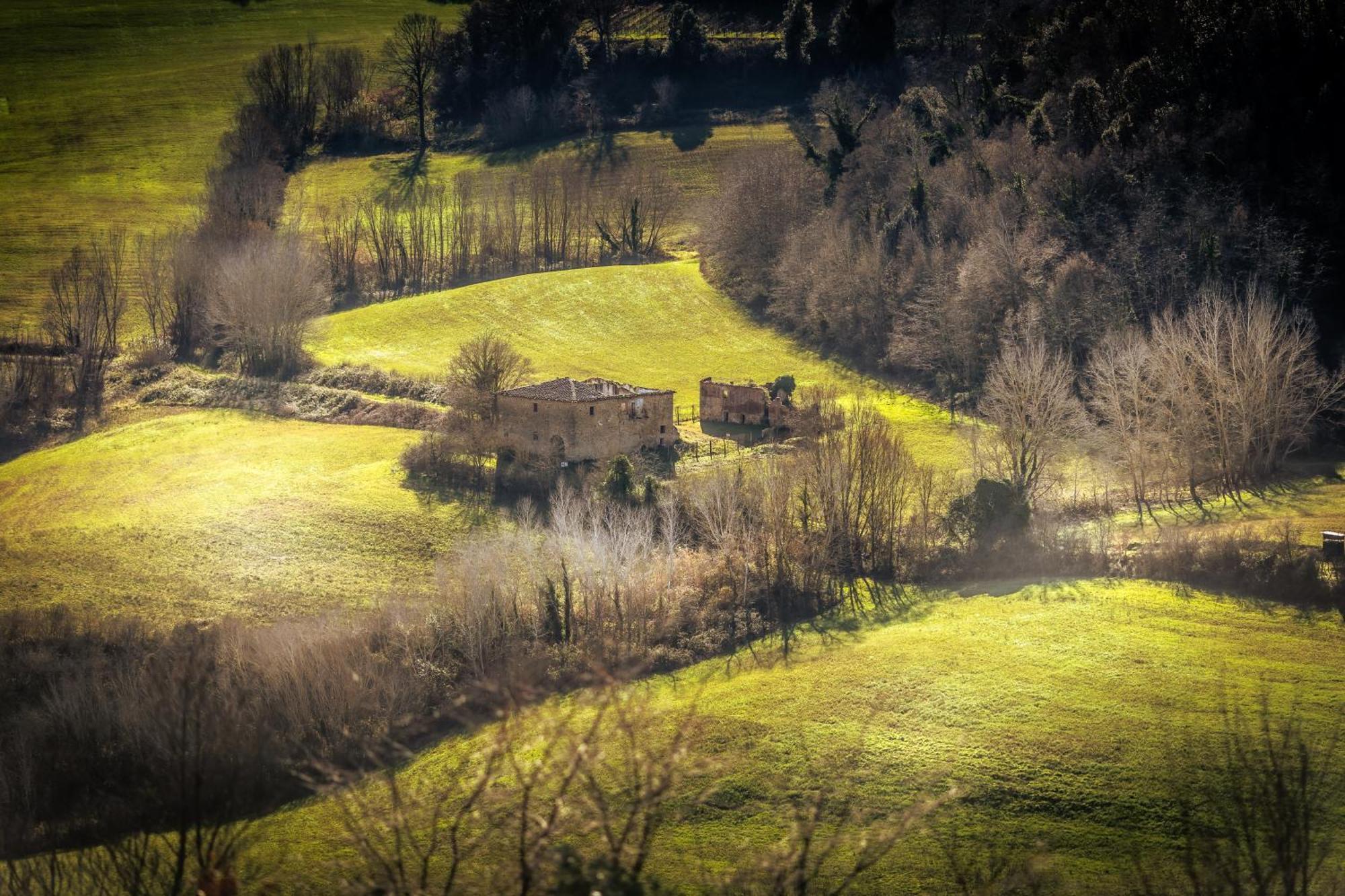 Borgo Il Poggio Agritourismo Villa Montaione Exteriör bild